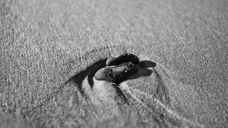 heart-shaped stone in the sand of the beach on the Baltic Sea black and white. Romantic symbol for people in love. Small sign as still life.の写真素材
