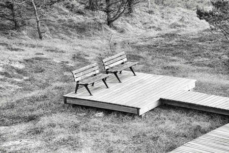 Wooden walkway in black and white with bench at high dune on darss. National Park in Germany. Nature...
