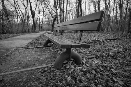 Wooden park bench in black and white over abandoned railroad tracks in a park in autumn. Lonely enjoy the peace and quiet in nature. Still life photo.の写真素材