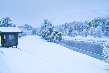 Winter landscape in Scandinavia. With snow covered trees on a road. Landscape photo from the north