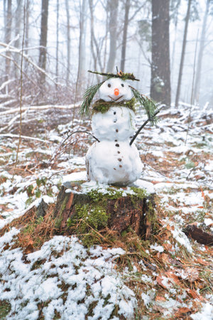 Snowman on a tree stump with a carrot for a nose, buttons, a branch for arms and pine needles for hair. In the snow-covered forest.の写真素材