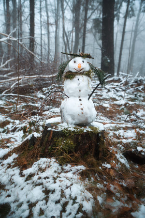 Snowman on a tree stump with a carrot for a nose, buttons, a branch for arms and pine needles for hair. In the snow-covered forest.の写真素材