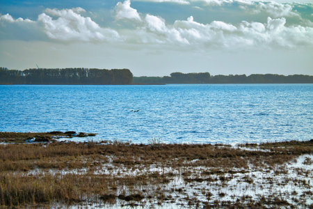 Light clouds in the sky on the Bodden in Zingst on the Baltic Sea peninsula. Bodden landscape with...
