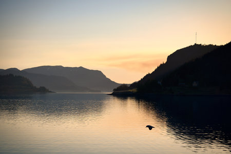 Norwegian fjord landscape with a view of the open sea at sunset. Water and mountains in the nature of Scandinaviaの写真素材