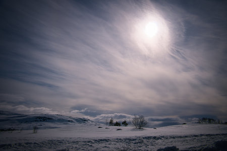 Norwegian high mountains in the snow. White landscape with diffused light. Scandinavian landscape in the far northの写真素材