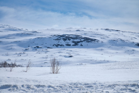 Norwegian high mountains in the snow. Mountains covered in snow. Scandinavian landscape in the far northの写真素材
