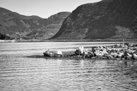 Fjord with mountains on the horizon. Stones reach into the water in black and white. The water glistens in the sun in Norway. Landscape photo from the northの写真素材