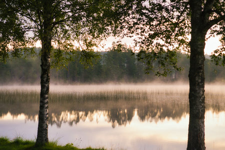View through trees on a lake, with fog in Sweden, at dawn. Romantic silence in the Scandinavian countrysideの写真素材