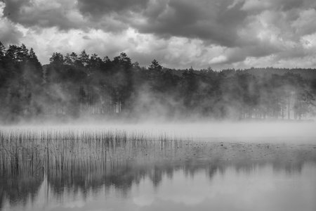 Fog over a lake in Sweden at dawn in black and white. Romantic silence, in the Scandinavian natureの写真素材