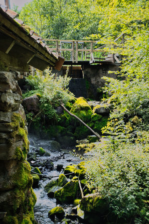 An idyllic stream with moss-covered stones and lush vegetation. In the background is a wooden bridge that harmoniously complements the sceneの写真素材