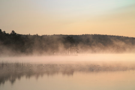 Sunrise with fog forming over a lake in Sweden, at dawn. Romantic silence, in the Scandinavian natureの写真素材