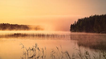 Sunrise with fog forming over a lake in Sweden, at dawn. Romantic silence, in the Scandinavian natureの写真素材