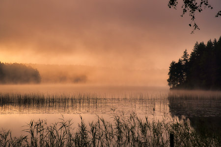 Sunrise with fog forming over a lake in Sweden, at dawn. Romantic silence, in the Scandinavian natureの写真素材