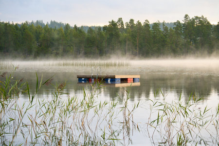 Floating platform in the morning in the fog on a Swedish lake. Forest in the background. Scandinavian natureの写真素材