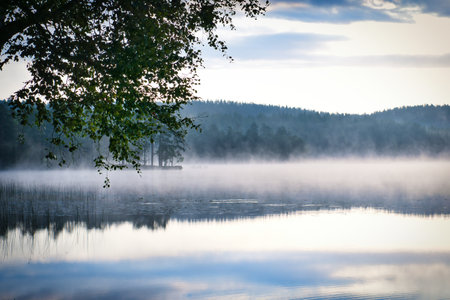 Fog forming over a lake in Sweden at dawn. Romantic silence, in the Scandinavian natureの写真素材