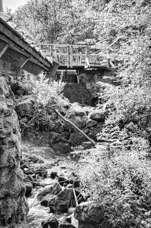An idyllic stream with moss-covered stones and lush vegetation. In the background is a wooden bridge that harmoniously complements the sceneの写真素材