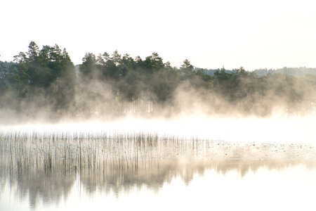 Fog forming over a lake in Sweden at dawn. Romantic silence, in the Scandinavian natureの写真素材