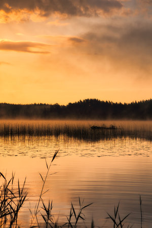 Sunrise with fog forming over a lake in Sweden, at dawn. Romantic silence, in the Scandinavian natureの写真素材