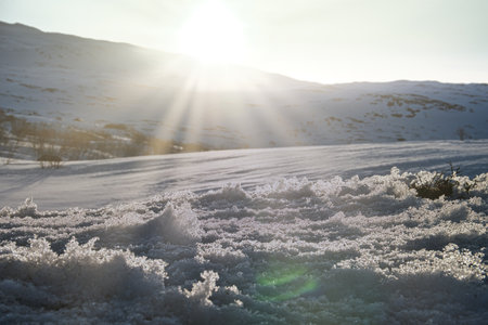 Ice crystals in a snow-covered landscape in the high mountains of Norway. Scandinaviaの写真素材