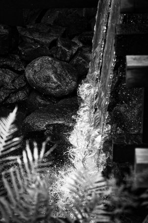 The picture shows a close-up of flowing water splashing over rocks. Blurred fern leaves can be seen in the foreground, suggesting a natural environment. The image is in black and whiteの写真素材