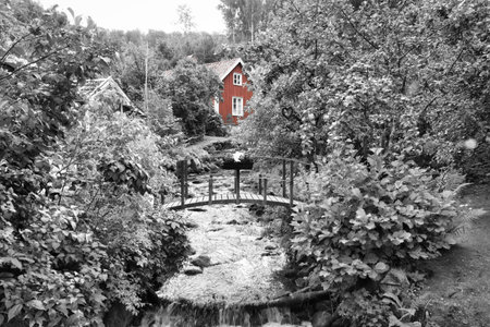 Stream with small bridge in front of a wooden house in Sweden. In black and white and red house. Trees on the bench. Scandinavian natureの写真素材