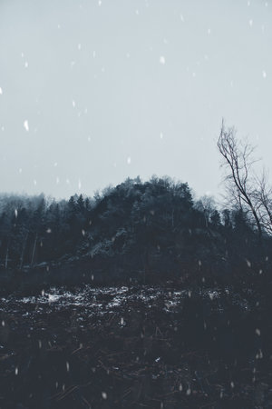 View of the GroÃer Zschirnstein with snow-covered trees and in the fog during a snowfall, during a hike. Landscape of things in Germanyの写真素材