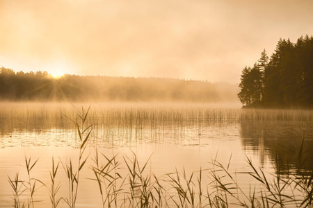 Sunrise with fog forming over a lake in Sweden, at dawn. Romantic silence, in the Scandinavian natureの写真素材