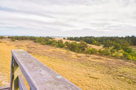 Landscape shot at the dunes by the sea, with trees in the background. Coastal landscape on the Baltic Seaの写真素材