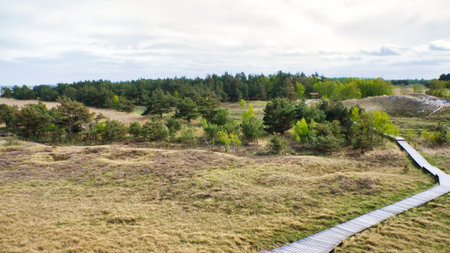 Landscape shot at the dunes by the sea, with trees in the background. Coastal landscape on the Baltic Seaの写真素材