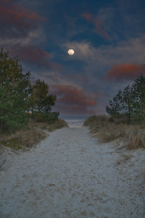 Beach crossing on the island of Usedom to the Baltic Sea. The moon is in the sky. White sand and trees.の写真素材