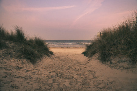 Beach crossing on the island of Usedom to the Baltic Sea. White sand and dune grass. Nature photo from a German islandの写真素材