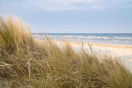 View over the dunes on the island of Usedom to the Baltic Sea. Dune grass and white sand. Nature photoの写真素材