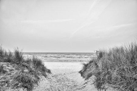 Beach crossing on the island of Usedom to the Baltic Sea in black and white. White sand and dune grass. Nature photo from a German islandの写真素材
