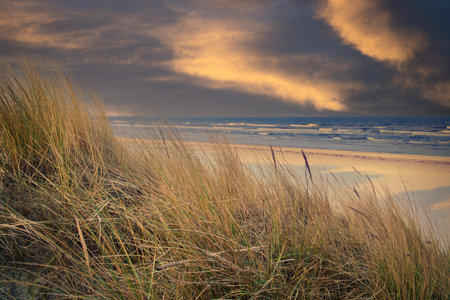 View over the dunes to the Baltic Sea. Dune grass and white sand. Nature photoの写真素材