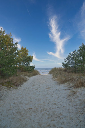 Beach crossing on the island of Usedom to the Baltic Sea. White sand and dune grass. Nature photo from a German islandの写真素材