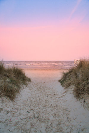 Beach crossing on the island to the Baltic Sea. White sand and dune grass. Nature photo from an islandの写真素材
