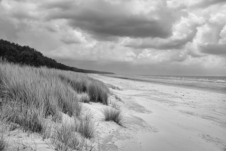 View over the dunes on the island of Usedom to the Baltic Sea in black and white. Dune grass and white sand. Nature photoの写真素材