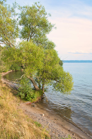 An idyllic lake with clear water, surrounded by green trees and nature. Gentle waves, peaceful atmosphere - perfect for rest and relaxation.の写真素材
