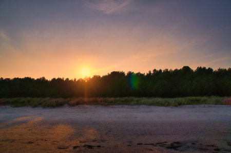 View of the dunes with forest, from the Baltic Sea at sunset. Dune grass and white sand. Nature photoの写真素材