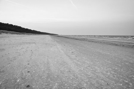 View over the beach on the island of Usedom on the Baltic Sea. Landscape shot of the coastの写真素材