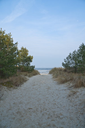 Beach crossing on the island of Usedom to the Baltic Sea. White sand and dune grass. Nature photo from a German islandの写真素材