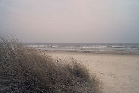 View over the dunes on the island of Usedom to the Baltic Sea. Dune grass and white sand. Nature photoの写真素材