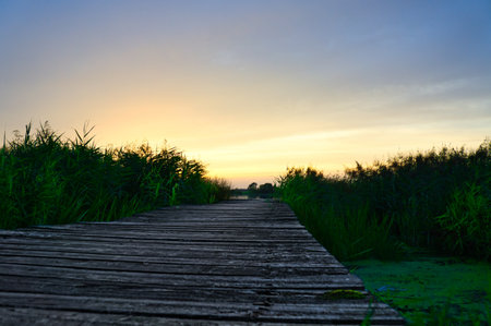 Sunset over a lake, a wooden footbridge leads into the water. Soft colors and reflections create a calm, idyllic scene.の写真素材