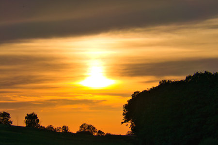 Sunset behind trees and fields, the sky glows in warm yellow and orange tones. Perfect for nature, landscape and idyllic themes!の写真素材