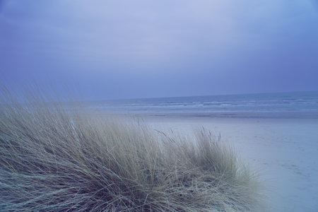 View over the dunes on the island of Usedom to the Baltic Sea. Dune grass and white sand. Nature photoの写真素材