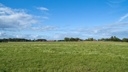Green meadow under a blue sky with scattered clouds, framed by trees in the background. Perfect for nature and landscape scenes.の写真素材