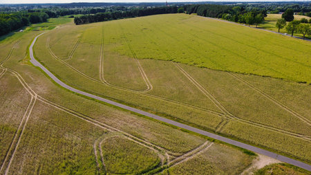 Aerial view of a winding country lane through a green landscape with trees and fields â natural expanse and tranquility, ideal for rural scenarios.の写真素材