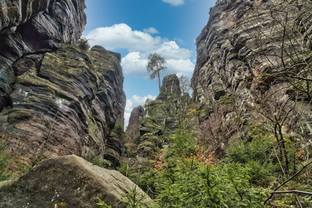 Rugged rock formations with a tree on the summit, surrounded by green vegetation and blue skies, wildly romantic nature full of contrasts and tranquility.の写真素材