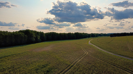 Aerial view of a winding country lane through a green landscape with trees and fields â natural expanse and tranquility, ideal for rural scenarios.の写真素材