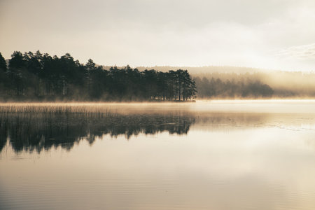 Misty morning at the lake with smooth water surface and forest reflection, soft colors and tranquil atmosphere create a dreamlike natural picture.の写真素材